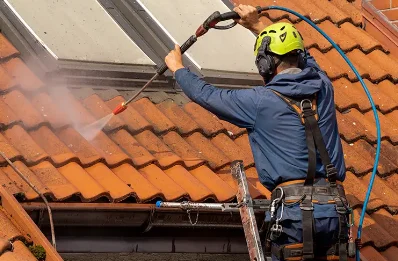 Démoussage et hydrofuge de toiture à Ingré